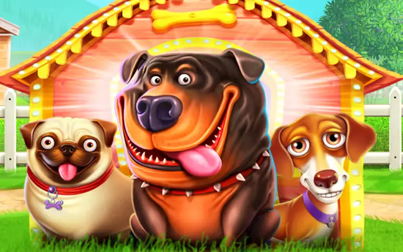 Disfruta de la popular tragamonedas The Dog House en Melbet.